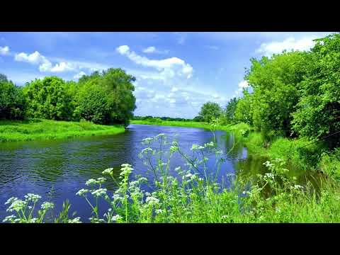 Видео: "Божа супакой": казанне кс. Мікалая Ціхановіча ў 14 звычайную нядзелю