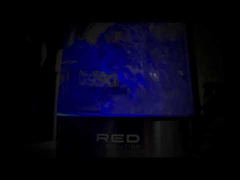 Видео: THE RELAXED! Звуки для сна и медитации! Кипение воды в электрическом чайнике!