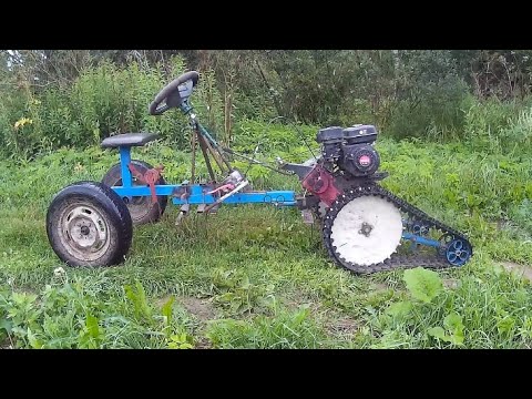 Видео: Мои ПЕРВЫЕ ГРИБЫ