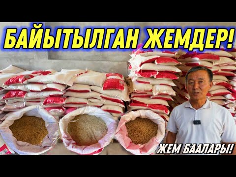 Видео: АТАЛЫК ЖЕМДЕРИ ОШ МЕНЕН НООКАТТА 🤯 #байтв 