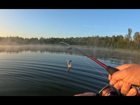 Видео: БЕШЕННЫЙ КЛЕВ НА KUUSAMO PROFESSOR . ЛУЧШАЯ БЛЕСНА НА ЩУКУ!