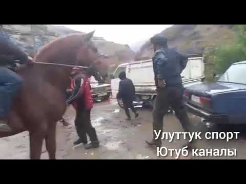 Видео: БАРПЫ САЙДА БОЛГОН УЛАКТА КОЧОН БАЛБАН токулу ат алды 10 октября 2021 г.