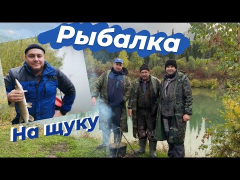 Видео: Осенняя рыбалка на реках Бия и Лебедь | Щучий улов | Плов на костре