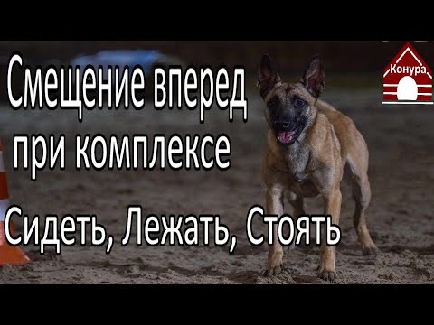 Видео: Сидеть, Лежать, Стоять/ Смещение