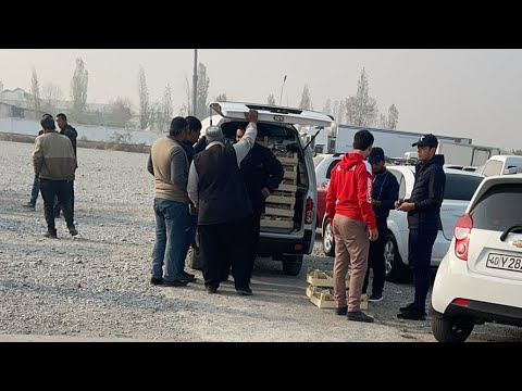 Видео: ХАРИДОР КЎП УЗУМЛАР УЧЯБДИ. Олтиариқ узум бозор 10 ноябрь