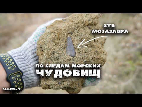 Видео: Изобилие зубов и костей МОЗАЗАВРОВ | Большая экспедиция по следам морских чудовищ | Часть 2