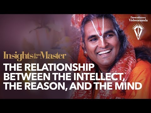 Видео: Интеллект, разум и ум