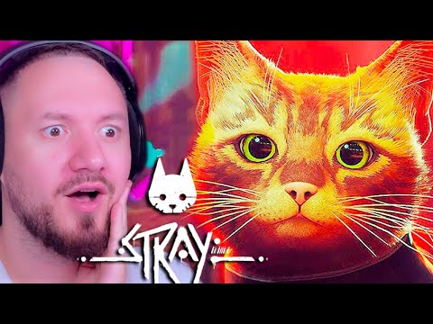 Видео: Я СТАЛ КОТОМ - STRAY 😺 КОШАЧИЙ КИБЕРПАНК 2022 ИГРА ПРО КОТИКА