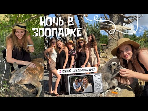 Видео: Влог: ночь в зоопарке