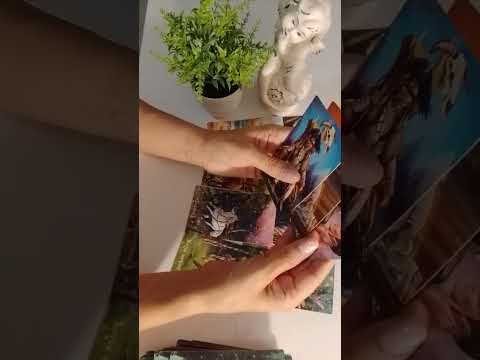 Видео: 🧿ТАРО ДЛЯ МУЖЧИН 💯 ВАЖНЫЙ И ТОЧНЫЙ ПРОГНОЗ ДЛЯ ВАС‼️💥