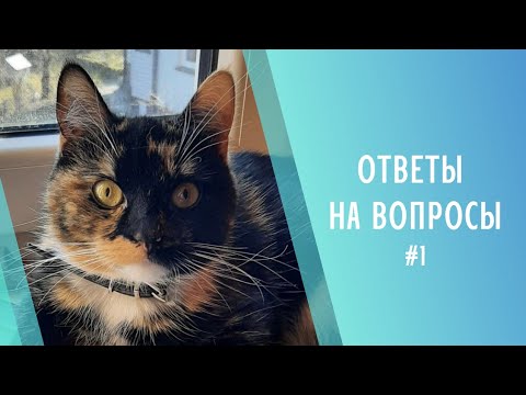 Видео: Вопрос-ответ #1 ☀️ Июль 2025