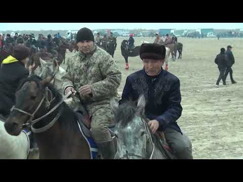 Видео: 24.12.2023ж Сағындықовтар әулеті Мұстафа мырзаның елден бата алу көкпар тойы