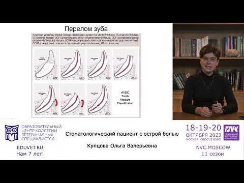 Видео: «Стоматологический пациент с острой болью» - Купцова Ольга