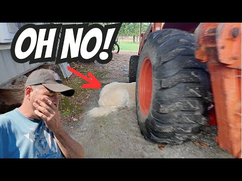 Видео: Я не ожидал этого сегодня | Вот как я его нашёл