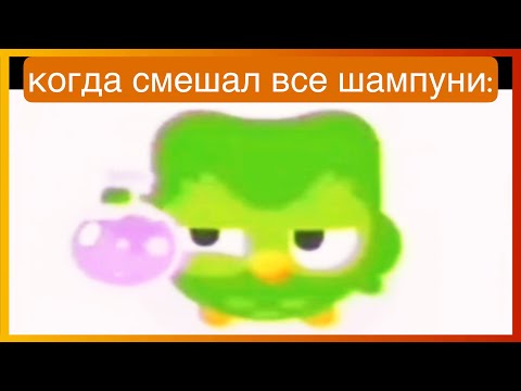 Видео: тикток смешал шампуни | подборка мемов