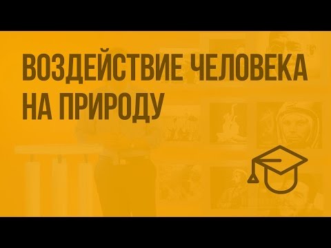 Видео: Воздействие человека на природу. Видеоурок по обществознанию 7 класс