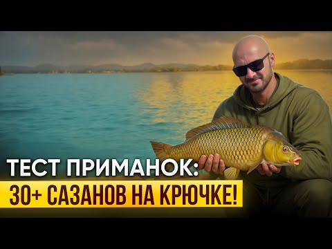 Видео: Кукурза или Бойлы, что лучше? ПОЙМАЛ БОЛЕЕ 30 ДИКИХ САЗАНОВ