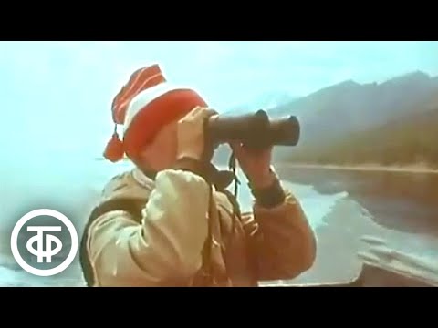 Видео: Берег бурых медведей (1991)