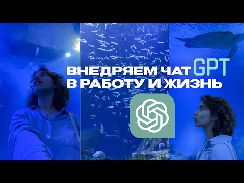 Видео: 15 способов использования Chat GPT в работе и жизни #нейросети #chatgpt #чатgpt