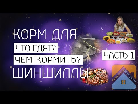 Видео: Корм шиншиллам.  Уход и кормление шиншиллы, что они едят и что нельзя давать. Подготовка корма.
