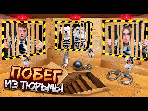 Видео: ПОБЕГ ИЗ КАРТОННОЙ ТЮРЬМЫ С КОТАМИ И СОБАКОЙ