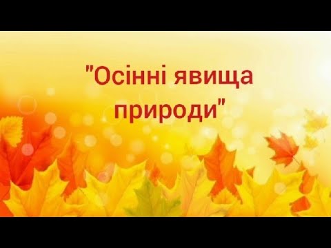 Видео: Дитина в природному довкіллі "Осінні явища природи"