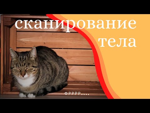 Видео: сканирование тела || body scan in Russian || guided meditation