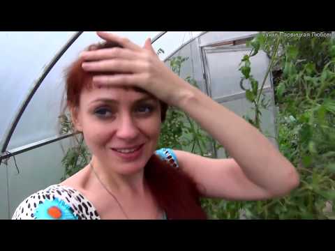 Видео: Деревенская жизнь 1 часть. Владимирская обл. Мстера.  Огород. кошки. собаки