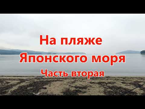 Видео: На пляже Японского моря. Часть вторая.