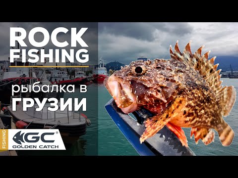 Видео: Спиннинг на Чёрном море! Столько видов рыб за одну рыбалку! Рокфишинг в Батуми.