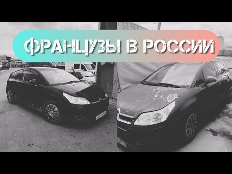 Видео: КУПИЛ ЕЛКУ НА НОВЫЙ ГОД ЗАРАНЕЕ! СИТРОЕНА ПО ЦЕНЕ АВТОВАЗА!