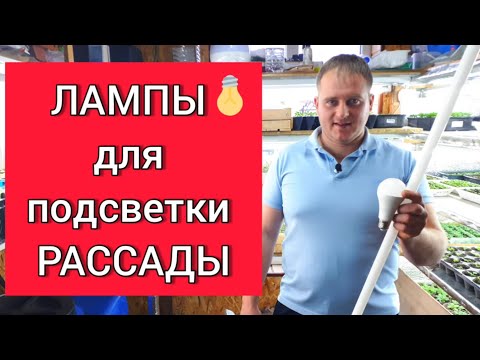 Видео: Лампы для подсветки рассады