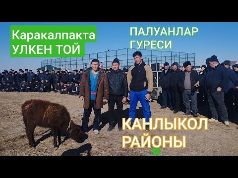Видео: КАРАКАЛПАКТА УЛКЕН ТОЙ КАНЛЫКОЛ РАЙОНЫНДА УЛКЕН ТОЙ МАНСУР ПАЛУАННЫН ТОЙЫ