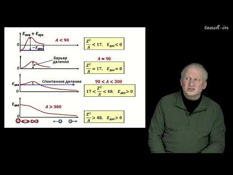 Видео: Широков Е.В. - Физика ядра и частиц - 12. Деление ядер