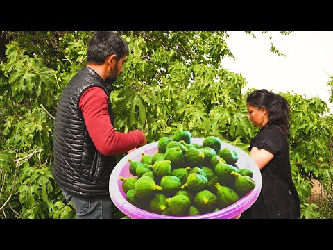 Видео: Варенье из Розы! Варенье из не Спелого Инжира! Как Хранит Виноградные Листья на Зиму