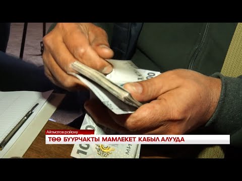Видео: ТӨӨ БУУРЧАКТЫ МАМЛЕКЕТ КАБЫЛ АЛУУДА