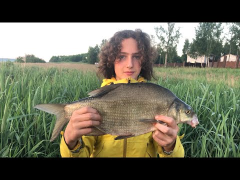 Видео: Ловля лещей ночью.Новый рекорд.