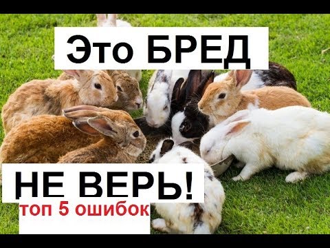 Видео: Главные ошибки в кролиководстве. Мифы и заблуждения в кролиководстве