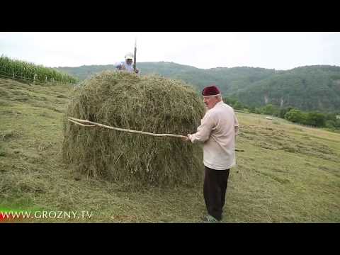 Видео: Лехамаш. Симсар Юрт