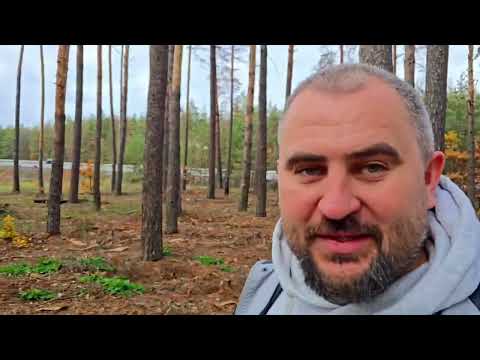 Видео: 1 ноября 2025 г.  В поисках грибов 😍