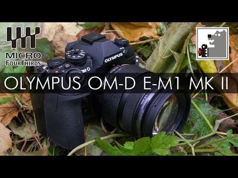 Видео: OLYMPUS OM-D E-M1 MK II  |  Мнение Топтыгина