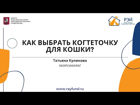 Видео: Как выбрать когтеточку для кошки?