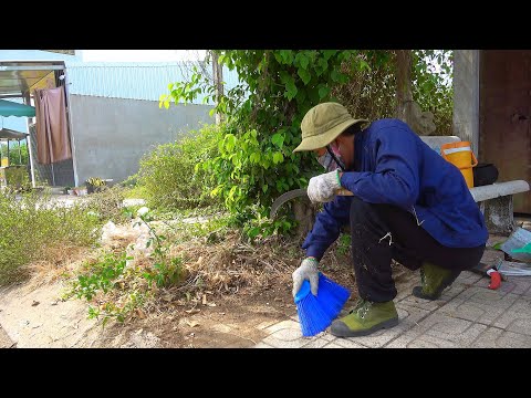 Видео: вдохновляющая уборка тротуаров с использованием элементарных инструментов