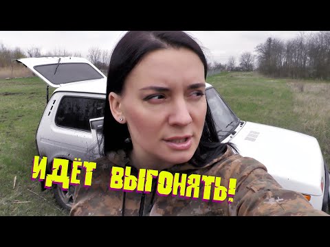 Видео: ЧАСТНАЯ собственность! КОПАТЬ НЕЛЬЗЯ! Местные мешают искать монеты