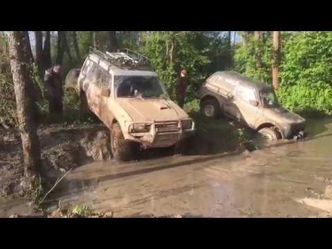 Видео: Адский ручей и бобровая плотина