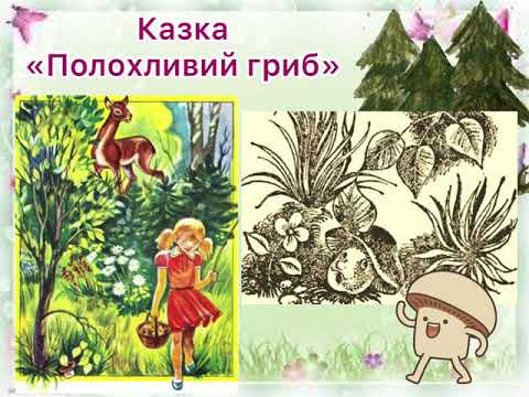 Видео: 3 клас. Читання. НУШ. О.Буцень «Полохливий гриб»