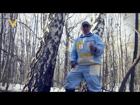 Видео: Берёзовый сок и пчёлы