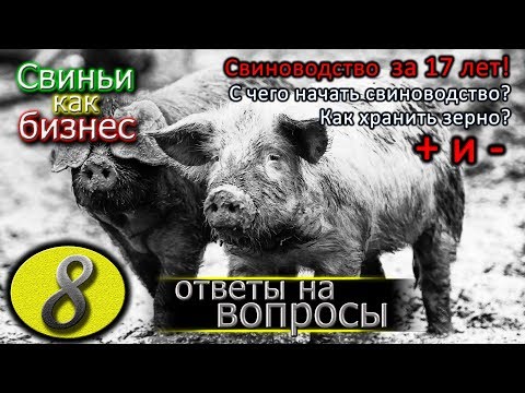 Видео: СВИНОВОДСТВО — ВСЕ ПЛЮСЫ И МИНУСЫ