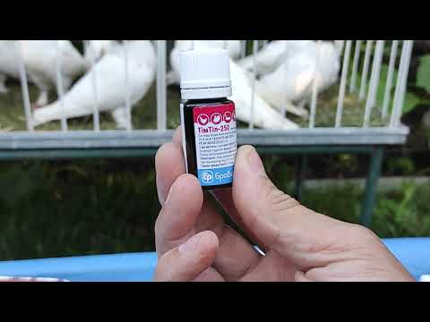 Видео: Ещё раз о профилактике и лечении голубей (по вашим просьбам - коротко).