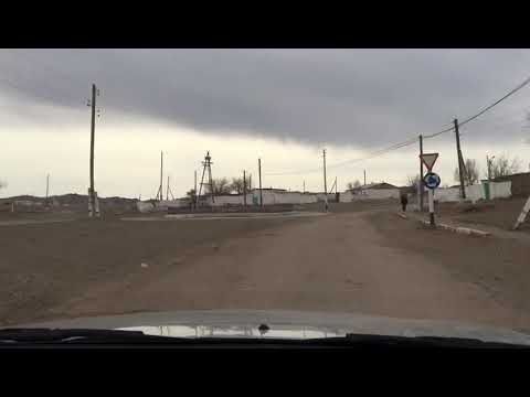 Видео: тамды 2018.